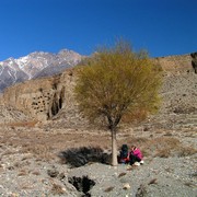 Nepal - trek to Jomson and Marpha