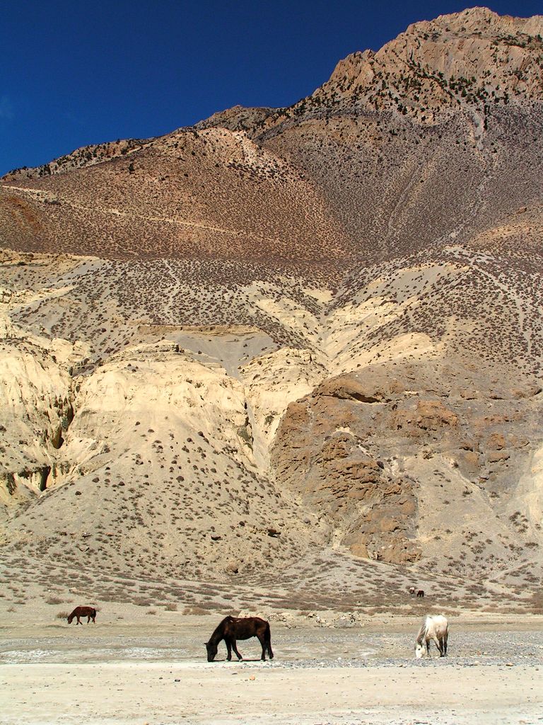 Nepal - the Kali Gandaki River Valley