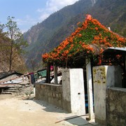 Nepal - trek to Beni 01