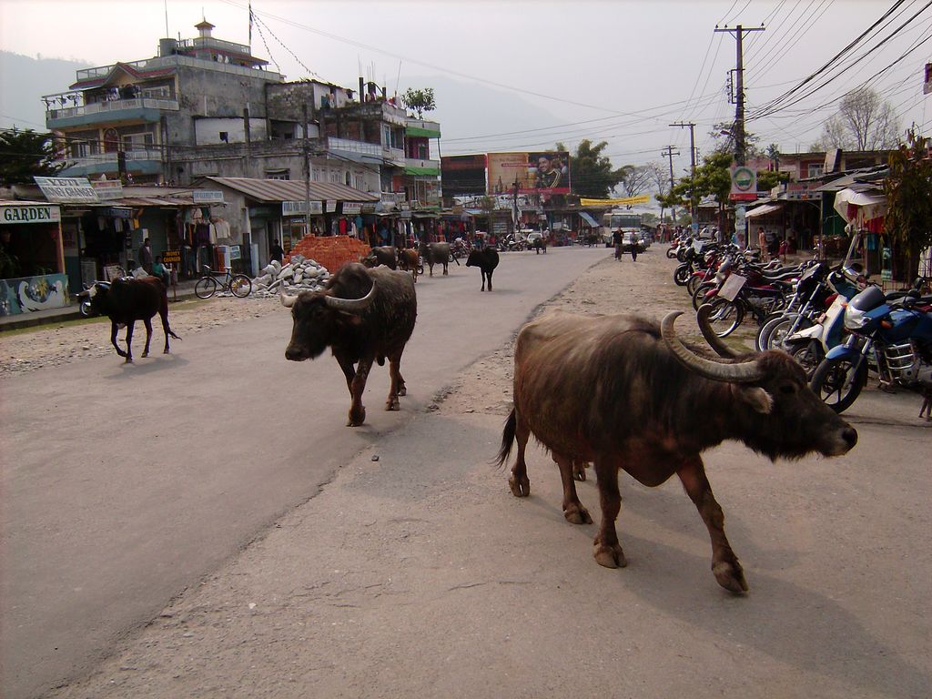 Nepal - Pokhara