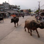 Nepal - Pokhara