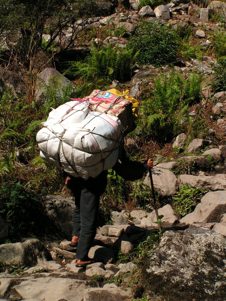 Nepal - trek to Chamje 12