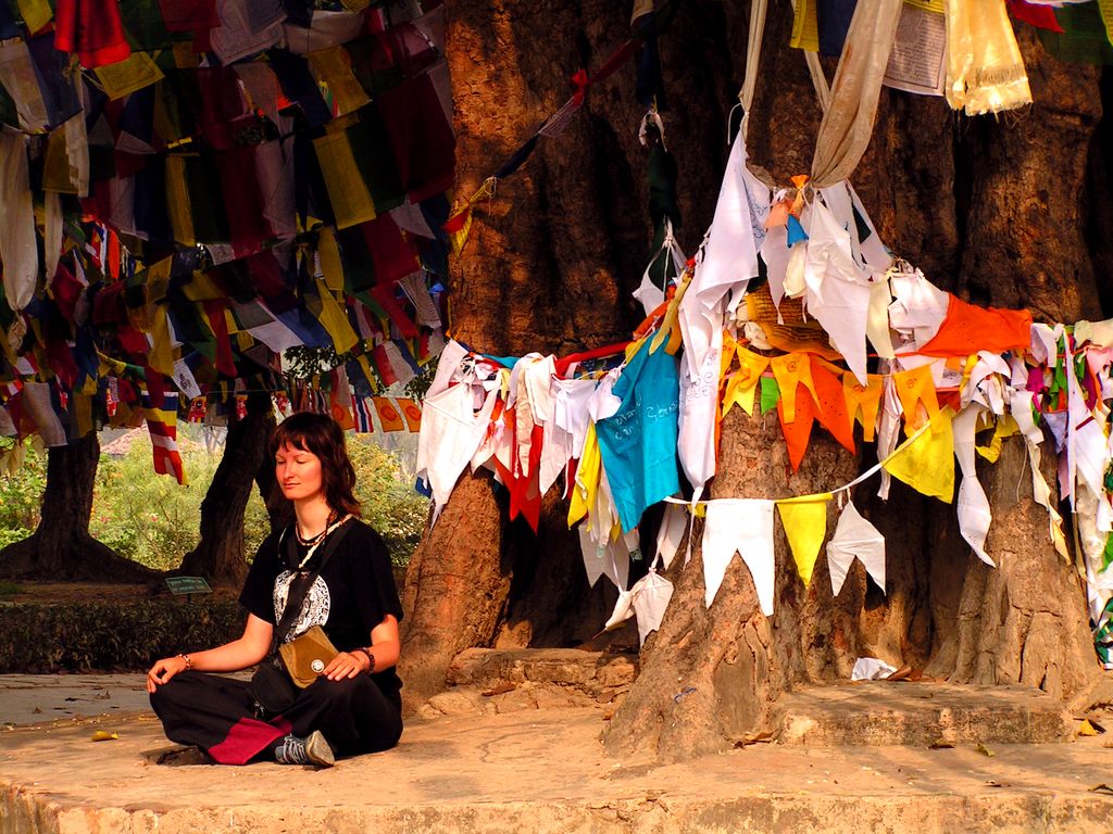 Nepal - Lumbini - Bodhi tree