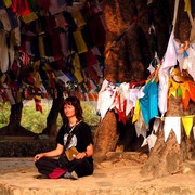 Nepal - Lumbini - Bodhi tree