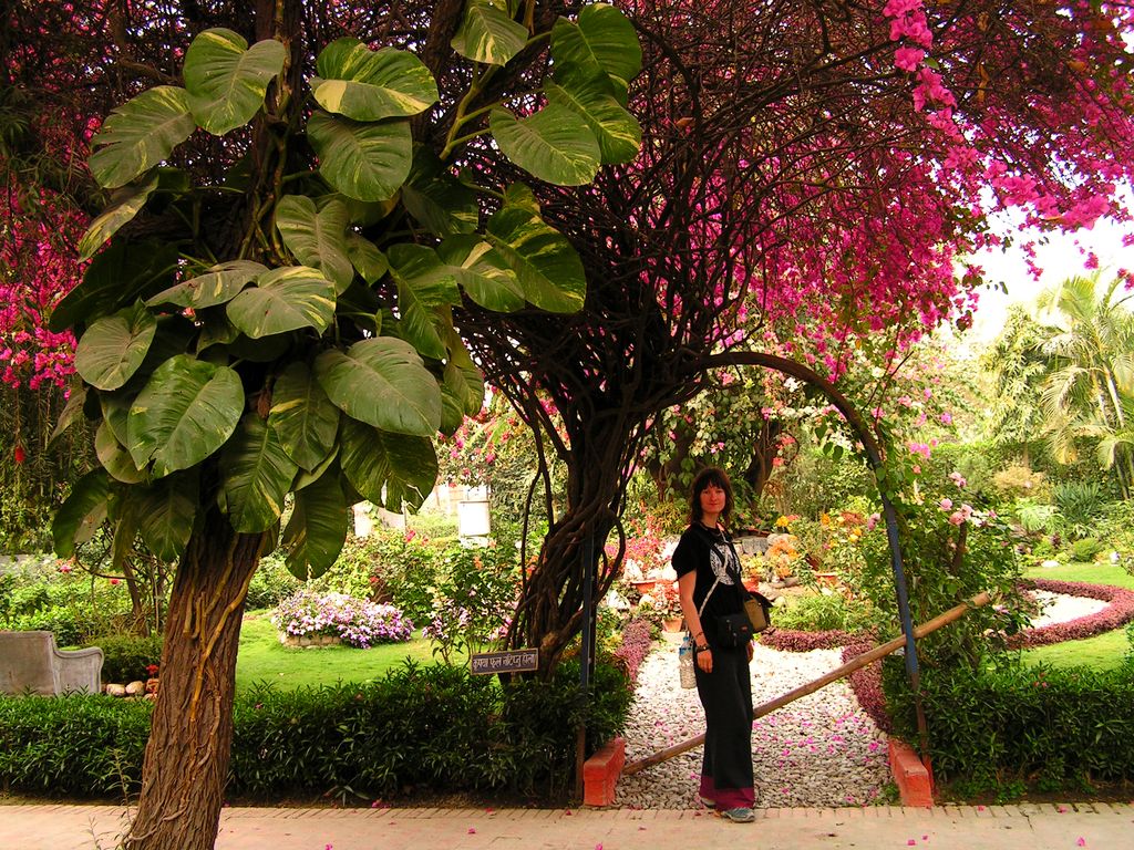 Nepal - Lumbini 03