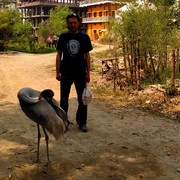 Nepal - Lumbini 06