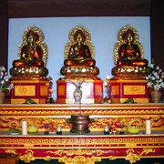 Nepal - Lumbini 08