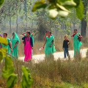 Nepal - Lumbini 12