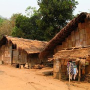 Northern Thailand - jungle trek 01