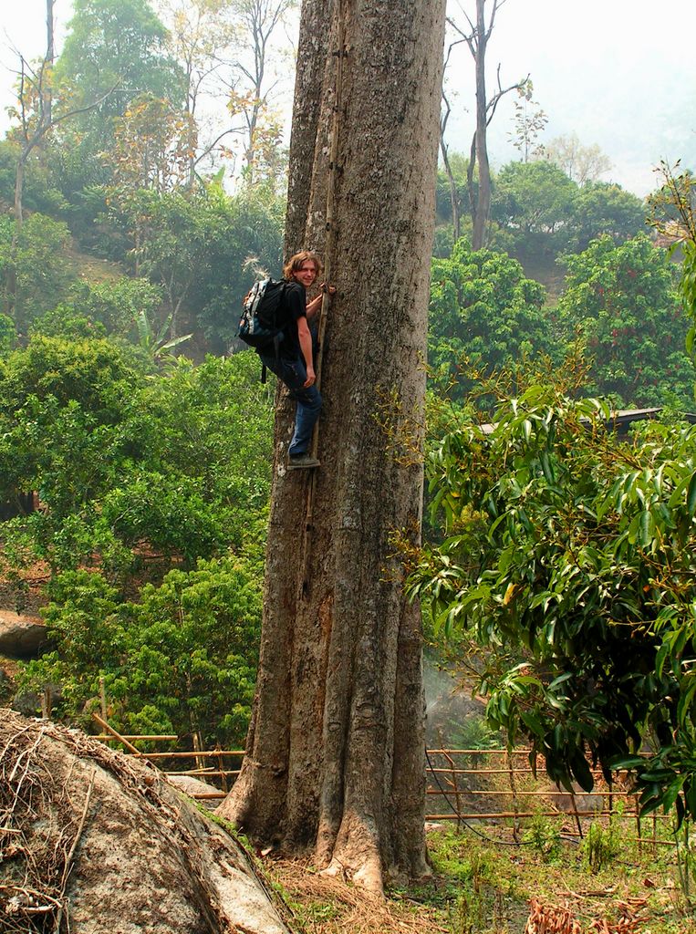 Northern Thailand - jungle trek 02