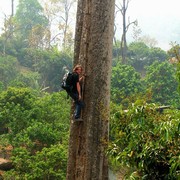 Northern Thailand - jungle trek 02