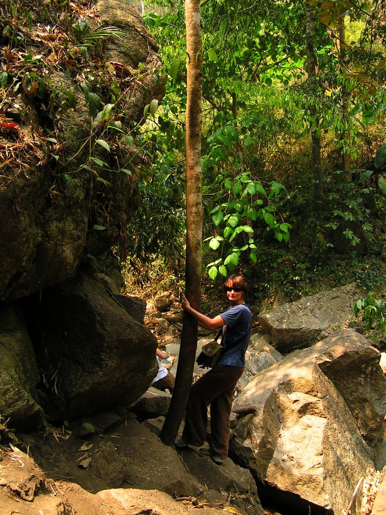 Northern Thailand - jungle trek 06