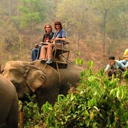 Northern Thailand - elephant riding 01