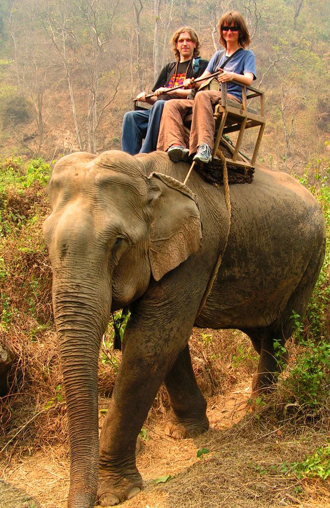 Northern Thailand - elephant riding 02