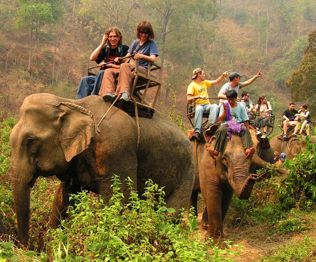Northern Thailand - elephant riding 03