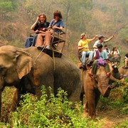 Northern Thailand - elephant riding 03