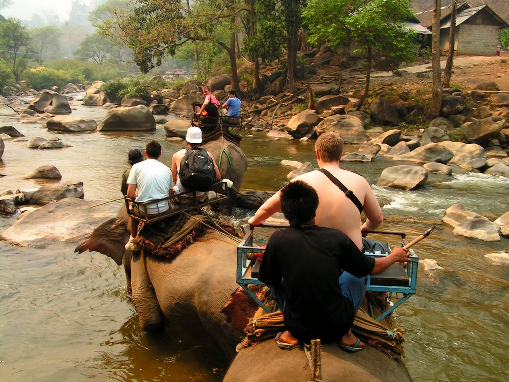 Northern Thailand - elephants crossing a river