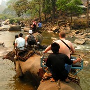 Northern Thailand - elephants crossing a river