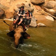 Northern Thailand - elephant riding 04