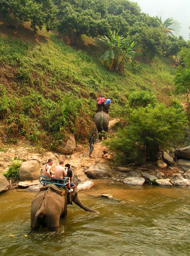 Northern Thailand - elephant riding 05