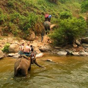 Northern Thailand - elephant riding 05