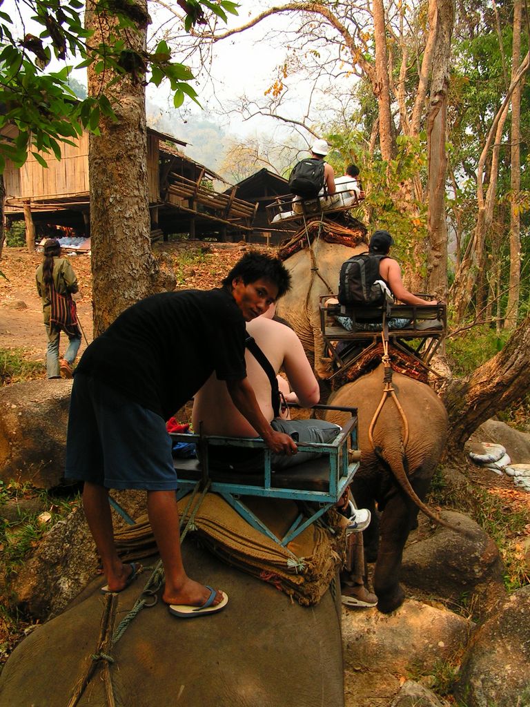 Northern Thailand - elephant riding 06