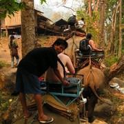 Northern Thailand - elephant riding 06