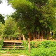 Northern Thailand - bamboo rafting 04