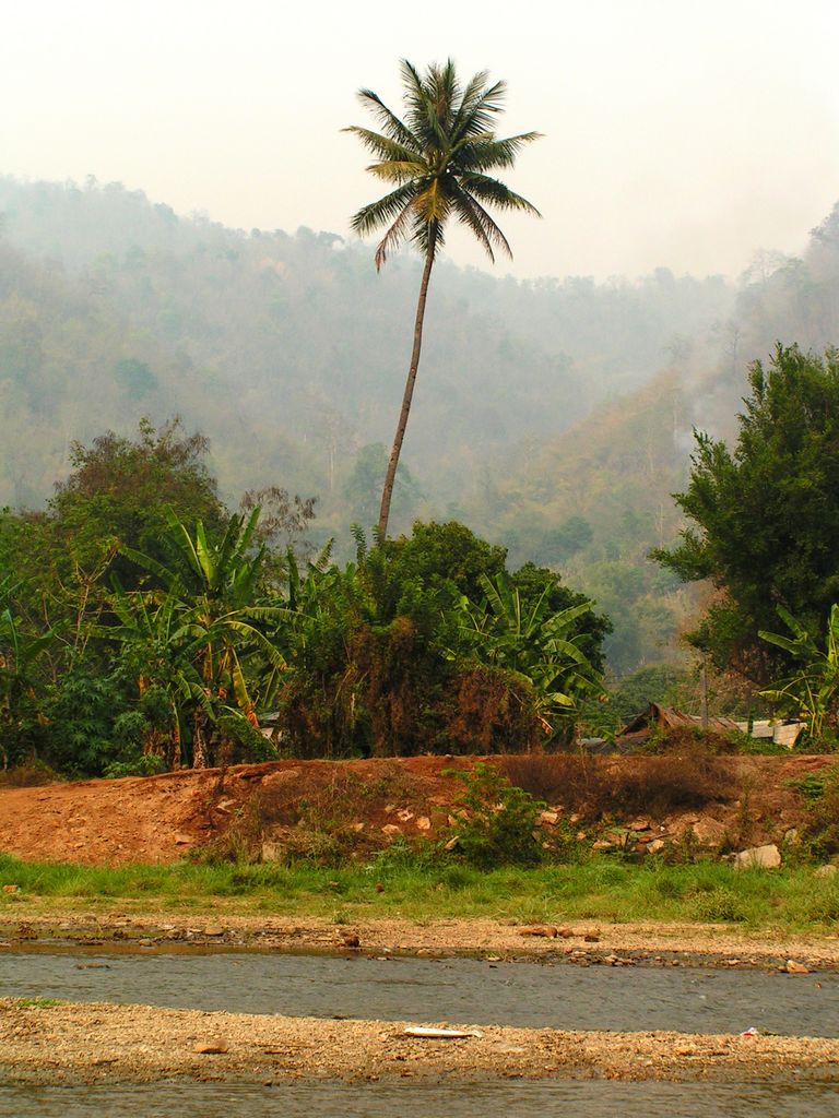 Northern Thailand - bamboo rafting 07