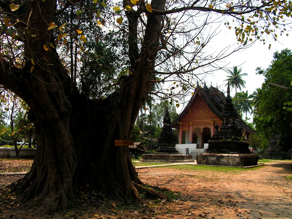 Laos - Luang Prabang 04