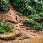 Laos - a mud slide in Luang Prabang