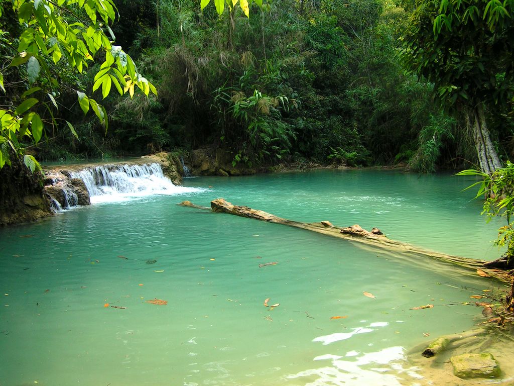Laos - Luang Prabang - Kouang Si Waterfall 01