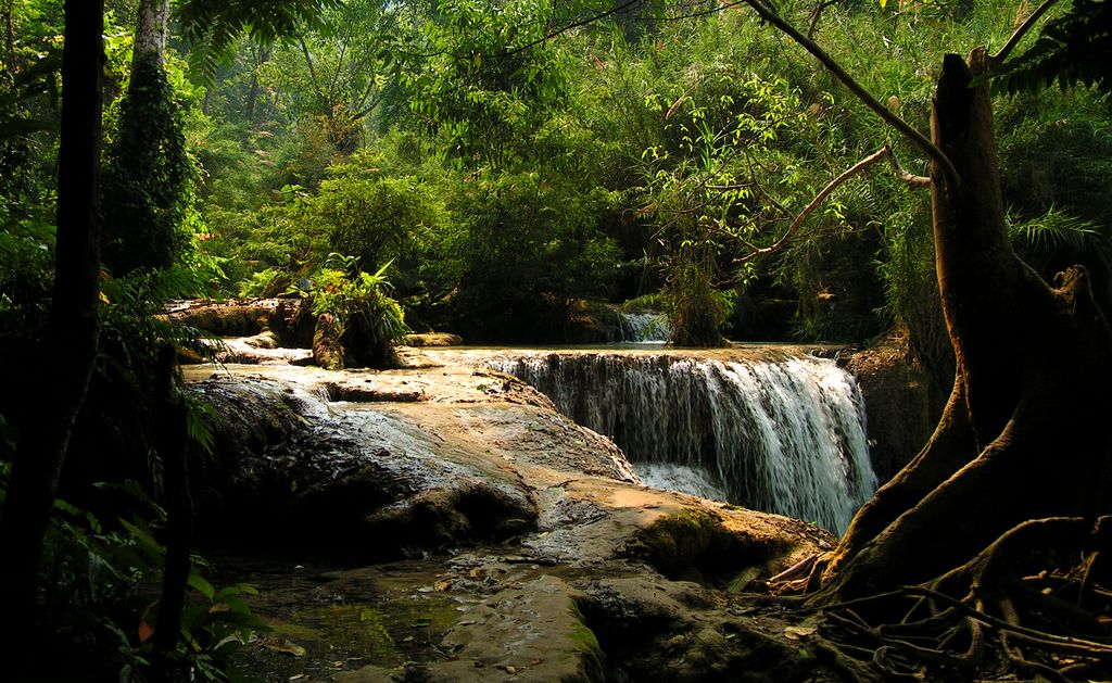 Laos - Luang Prabang - Kouang Si Waterfall 02