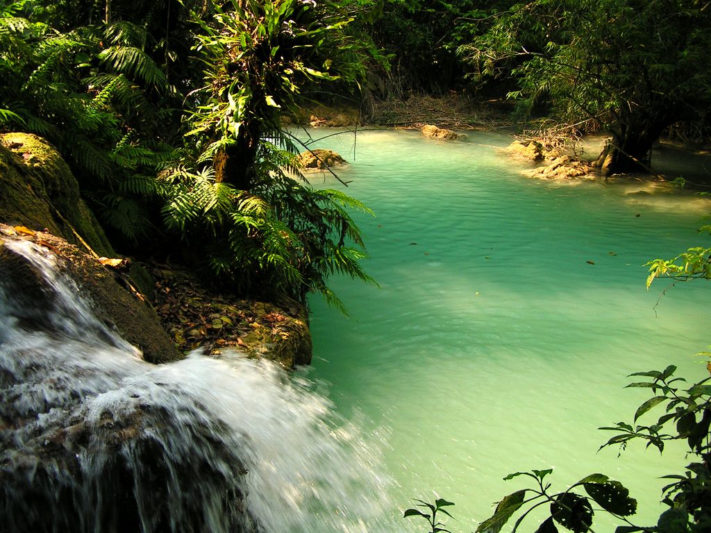 Laos - Luang Prabang - Kouang Si Waterfall 06