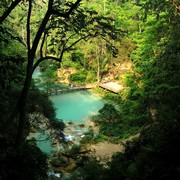 Laos - Kouang Si Waterfall 15