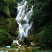 Laos - Kouang Si Waterfall 16