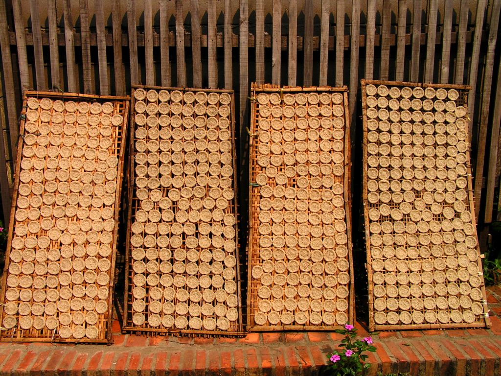 Laos - drying rice pancakes in Luang Prabang 15