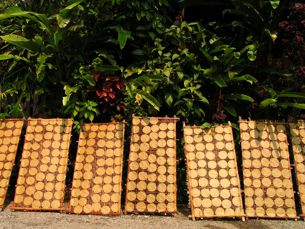 Laos - drying pancakes in Luang Prabang 31