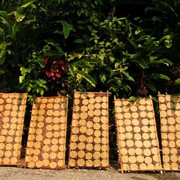 Laos - drying pancakes in Luang Prabang 31