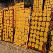 Laos - drying pancakes in Luang Prabang 34