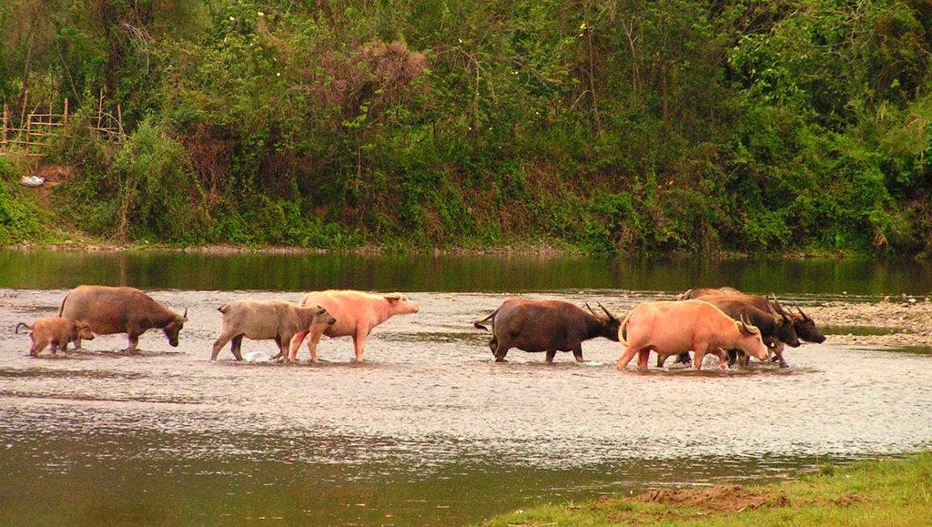 Laos - Van Vieng 02