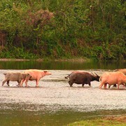 Laos - Van Vieng 02