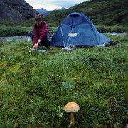 Iceland - mushroom, Paula and wet tent