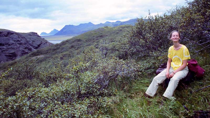 Paula in an Icelandic bush