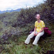 Paula in an Icelandic bush