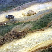 Iceland - a detail near by Geysir