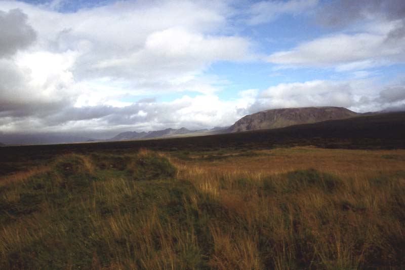 Iceland - a farm in Pingvellir