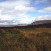 Iceland - a farm in Pingvellir