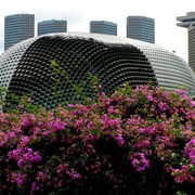 Singapore - the opera house