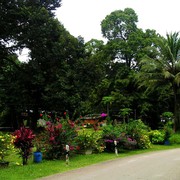 Singapore - Pulau Ubin 02